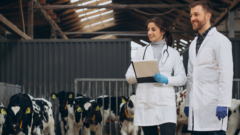 Concurso Público de Méritos y Capacidad Docente del Departamento Académico de Medicina Veterinaria y Zootecnia